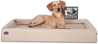 Top 10 Der Besten Hundebetten 2026