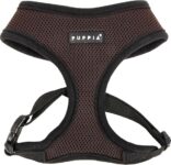 Top 10 Der Besten Hundegeschirre 2026