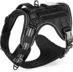 Top 10 Der Besten Hundegeschirre 2026