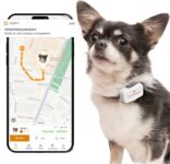 Top 10 Der Besten GPS-Tracker für Haustiere 2026