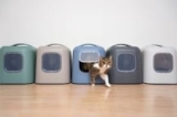 Top 10 Der Besten Katzentoiletten 2026